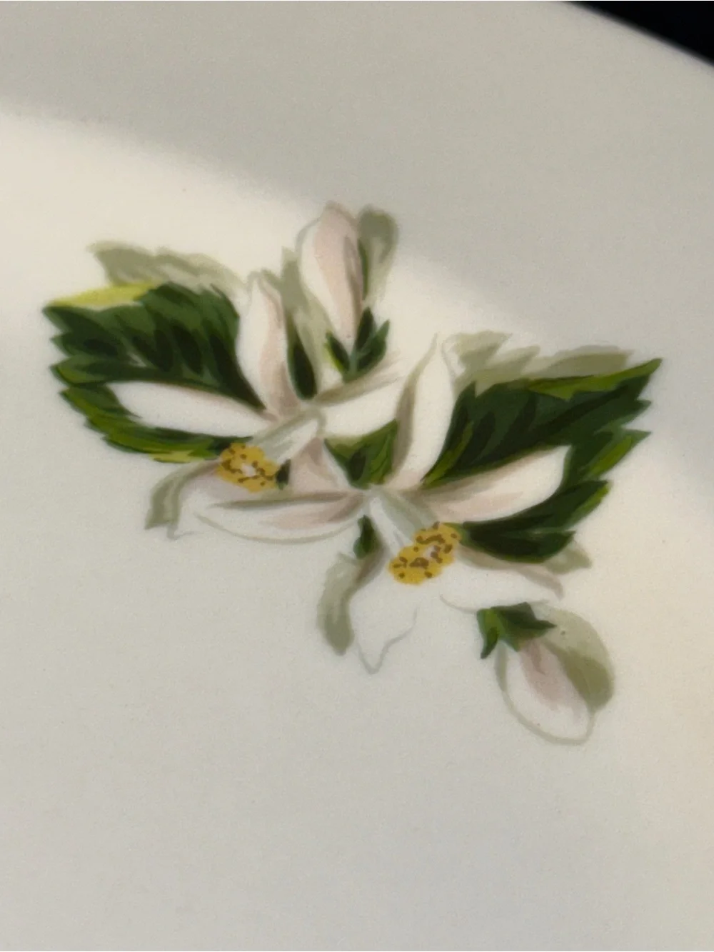 Vintage dinner plate in the 